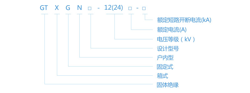 GTXGN-12/24 系列-固體絕緣環網開關柜型號含義